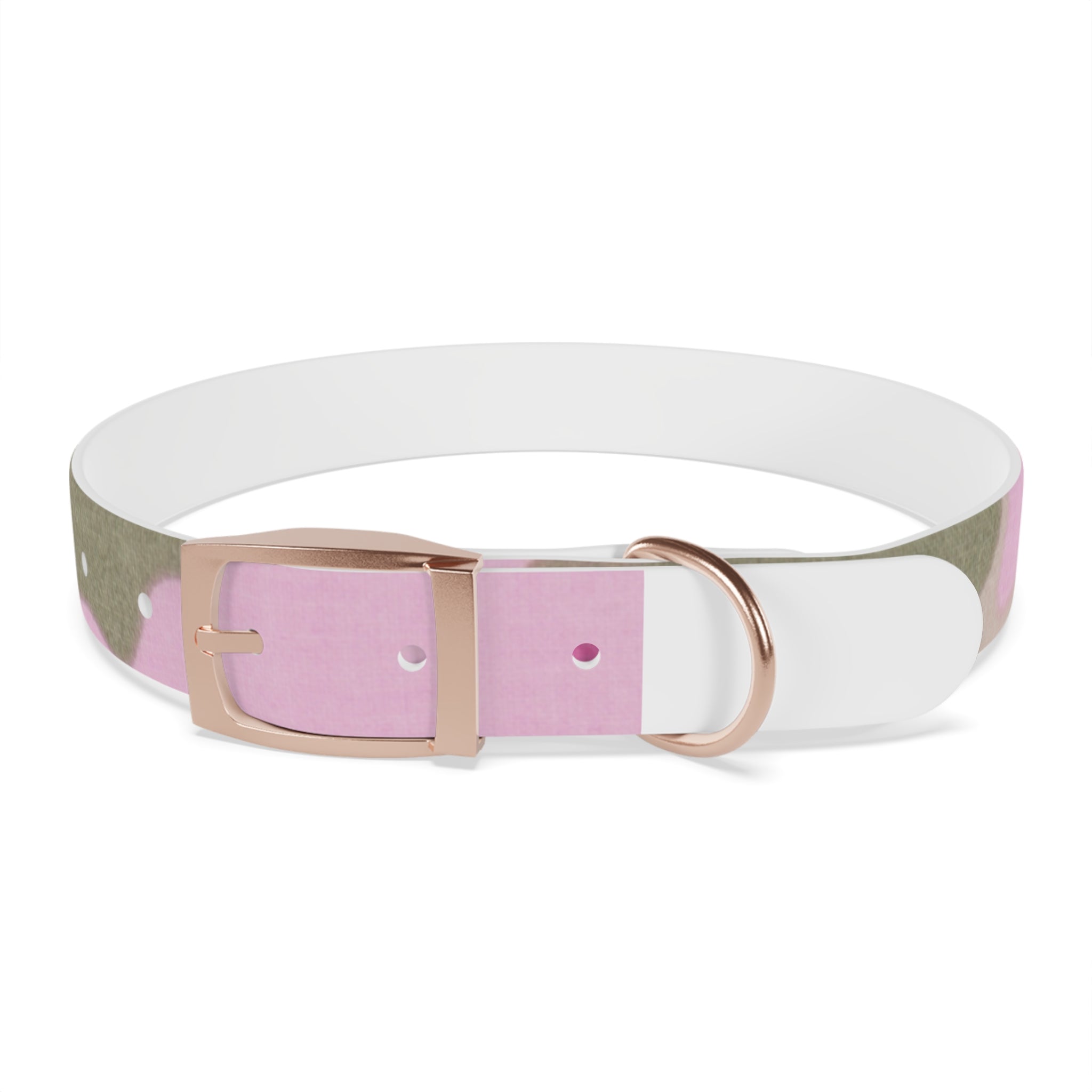 Dog Collar