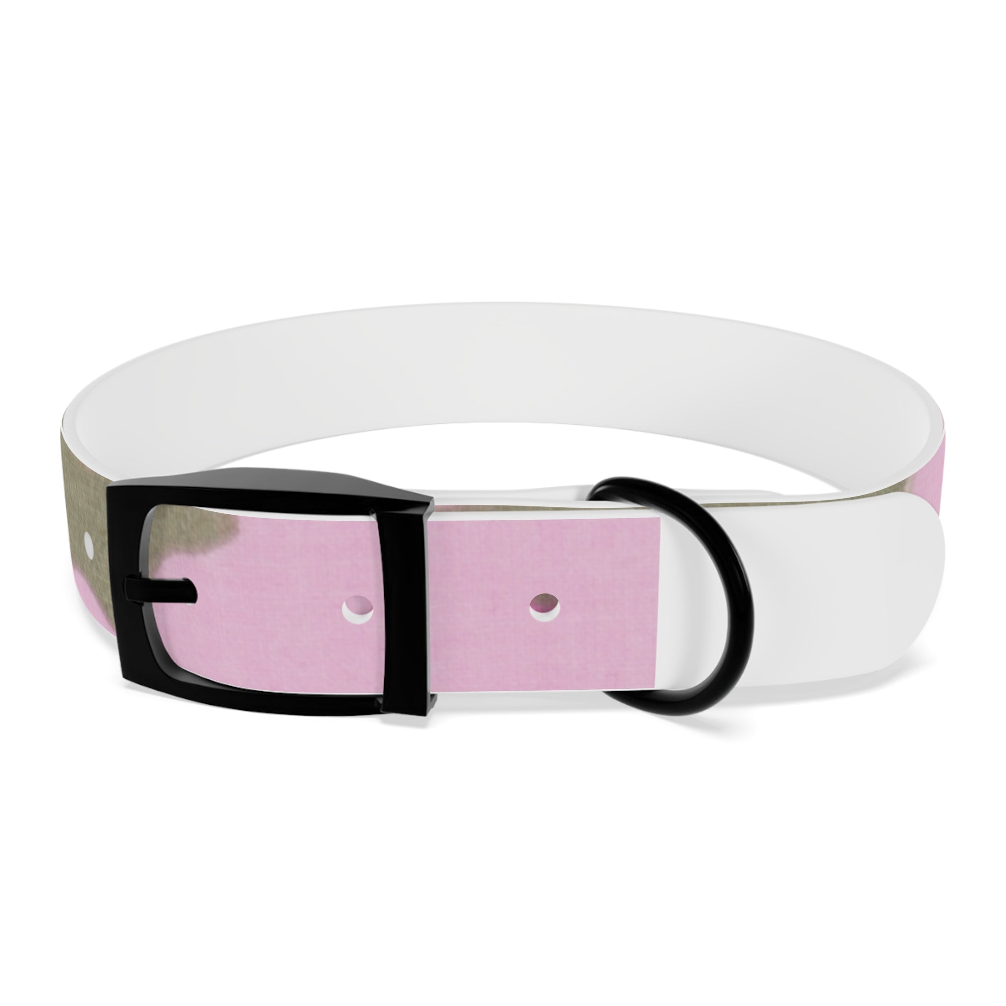 Dog Collar