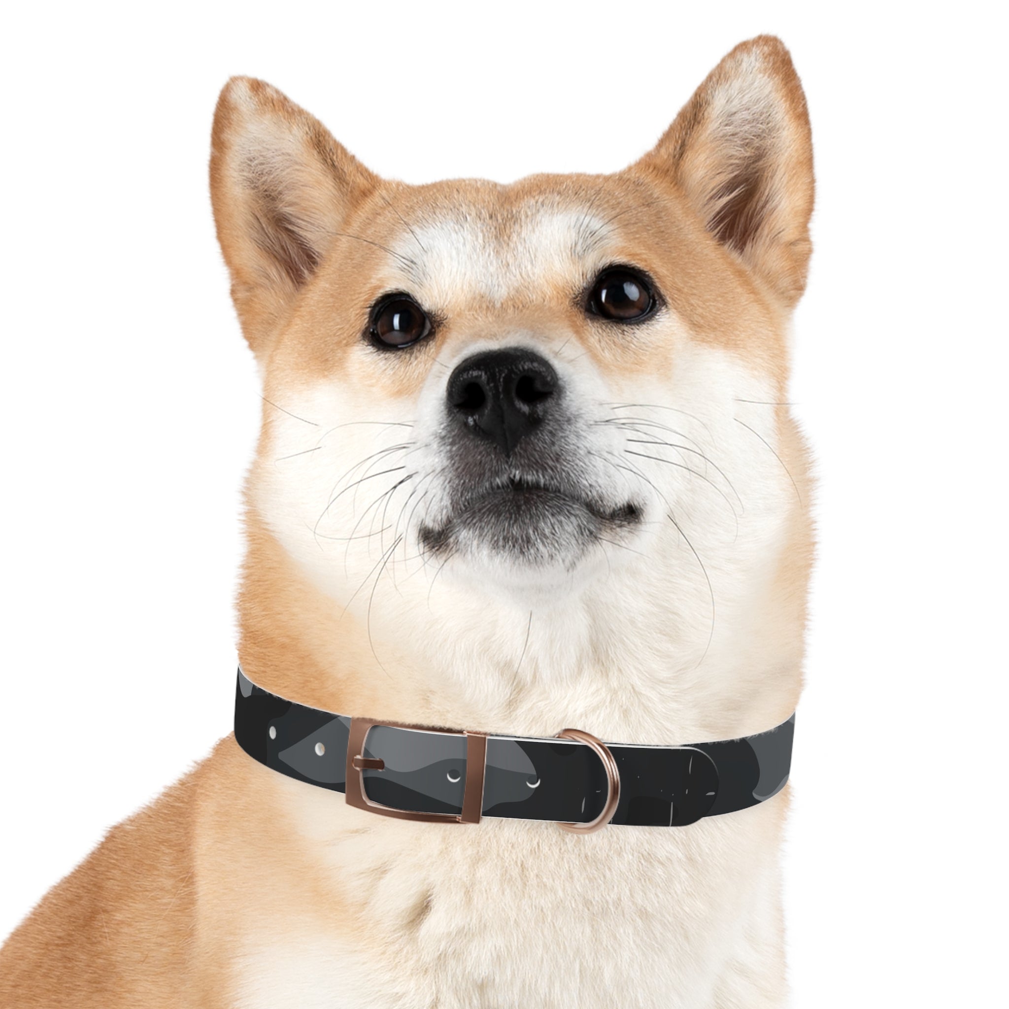 Dog Collar