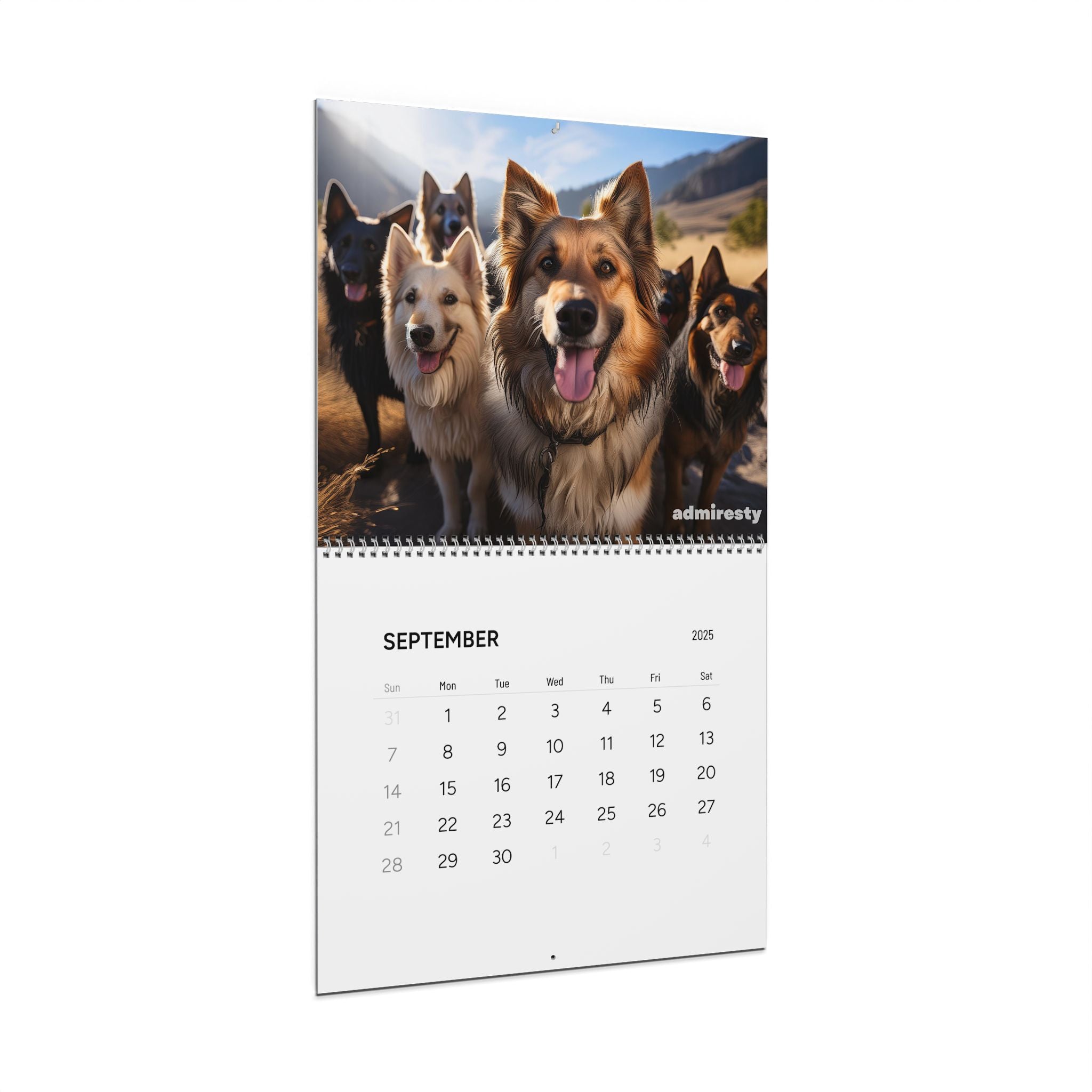 Wall Calendars (2025)