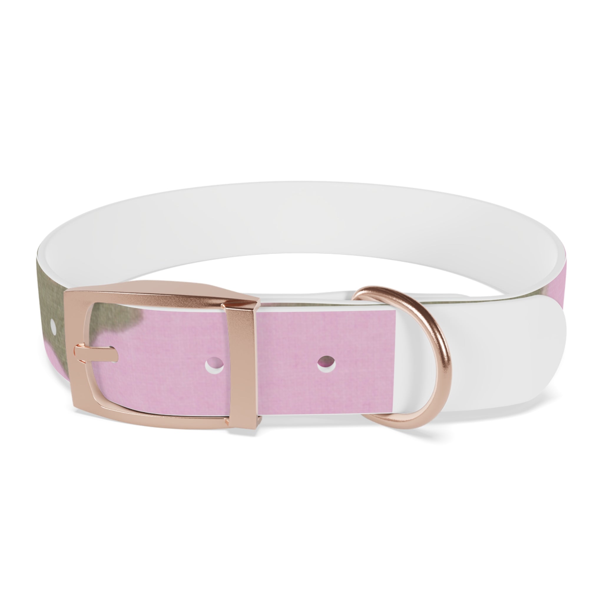 Dog Collar