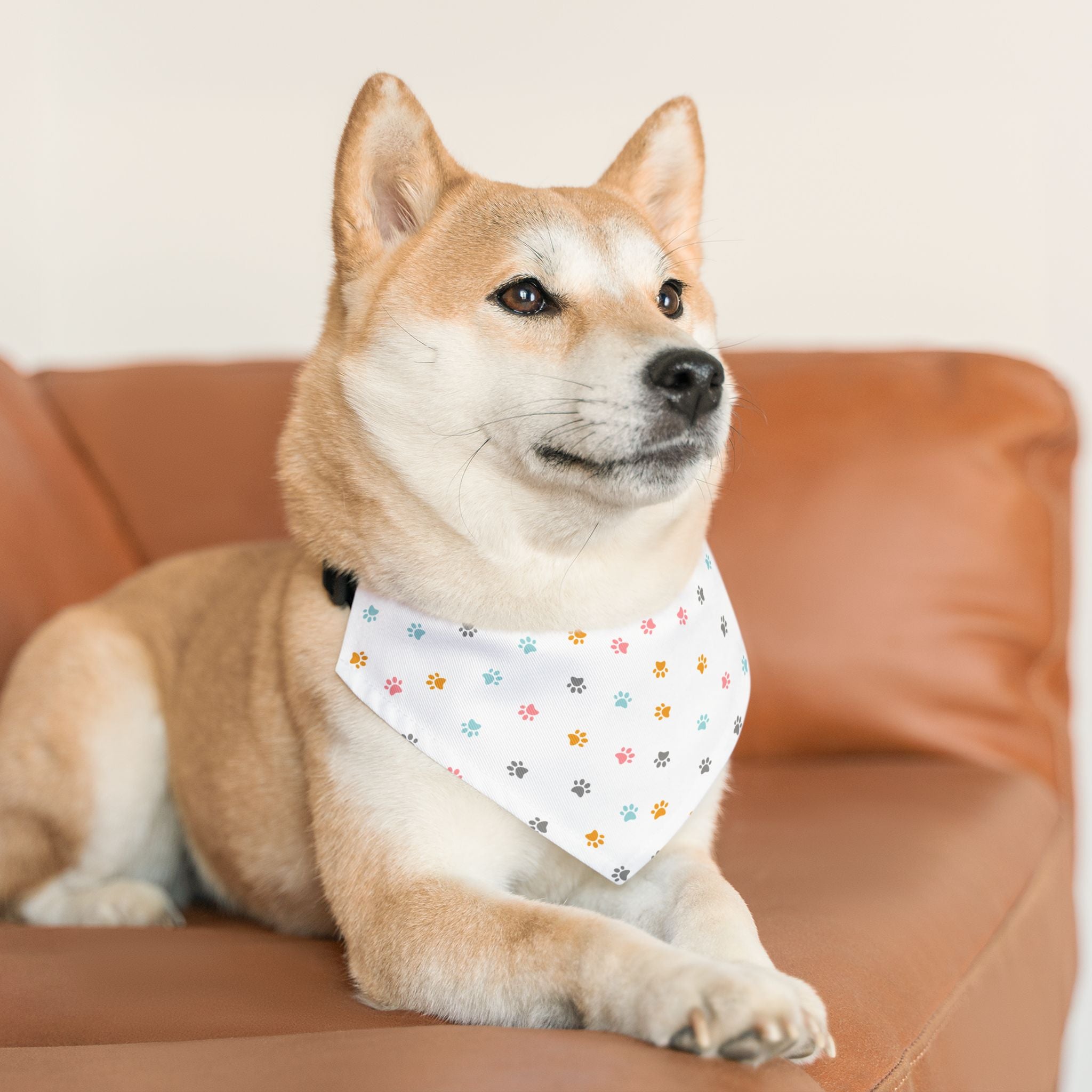 Pet Bandana Collar