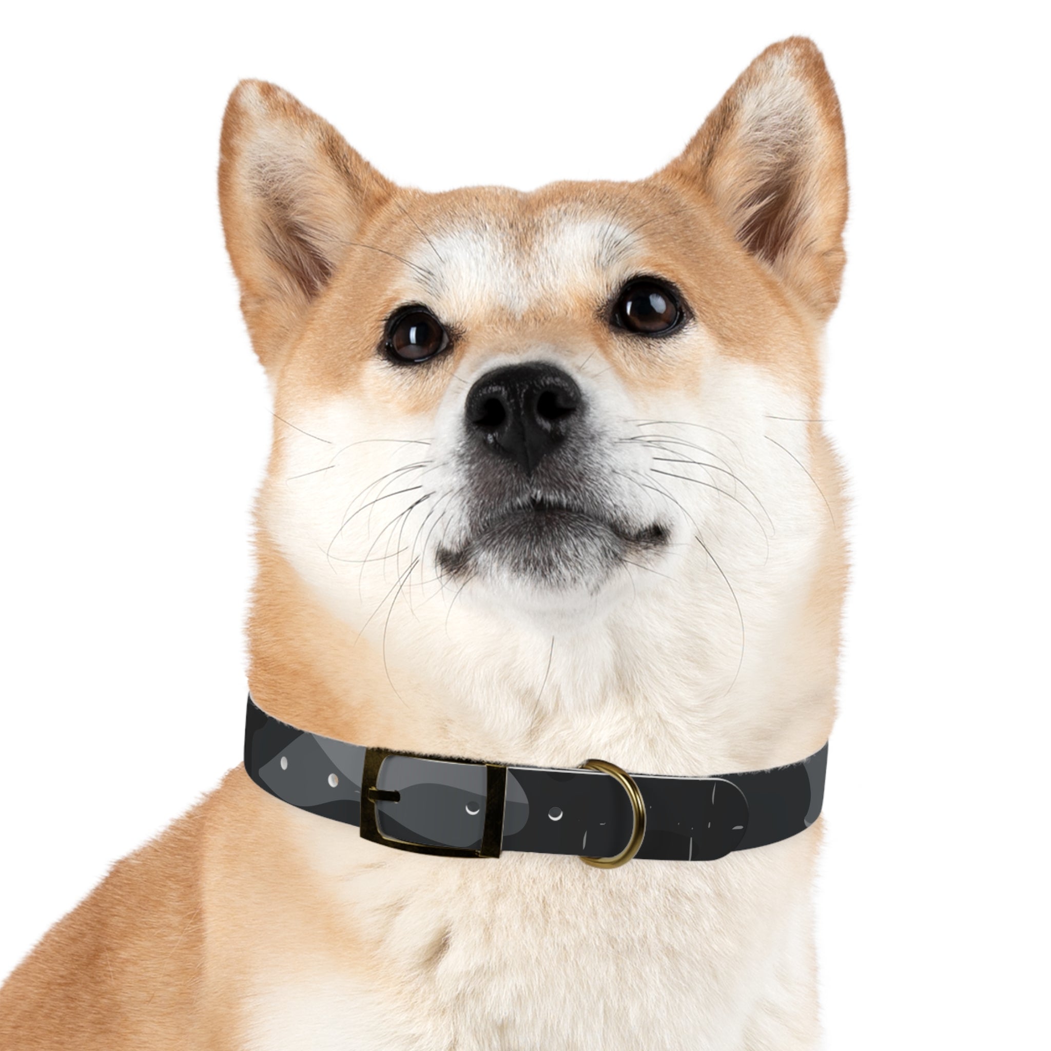 Dog Collar