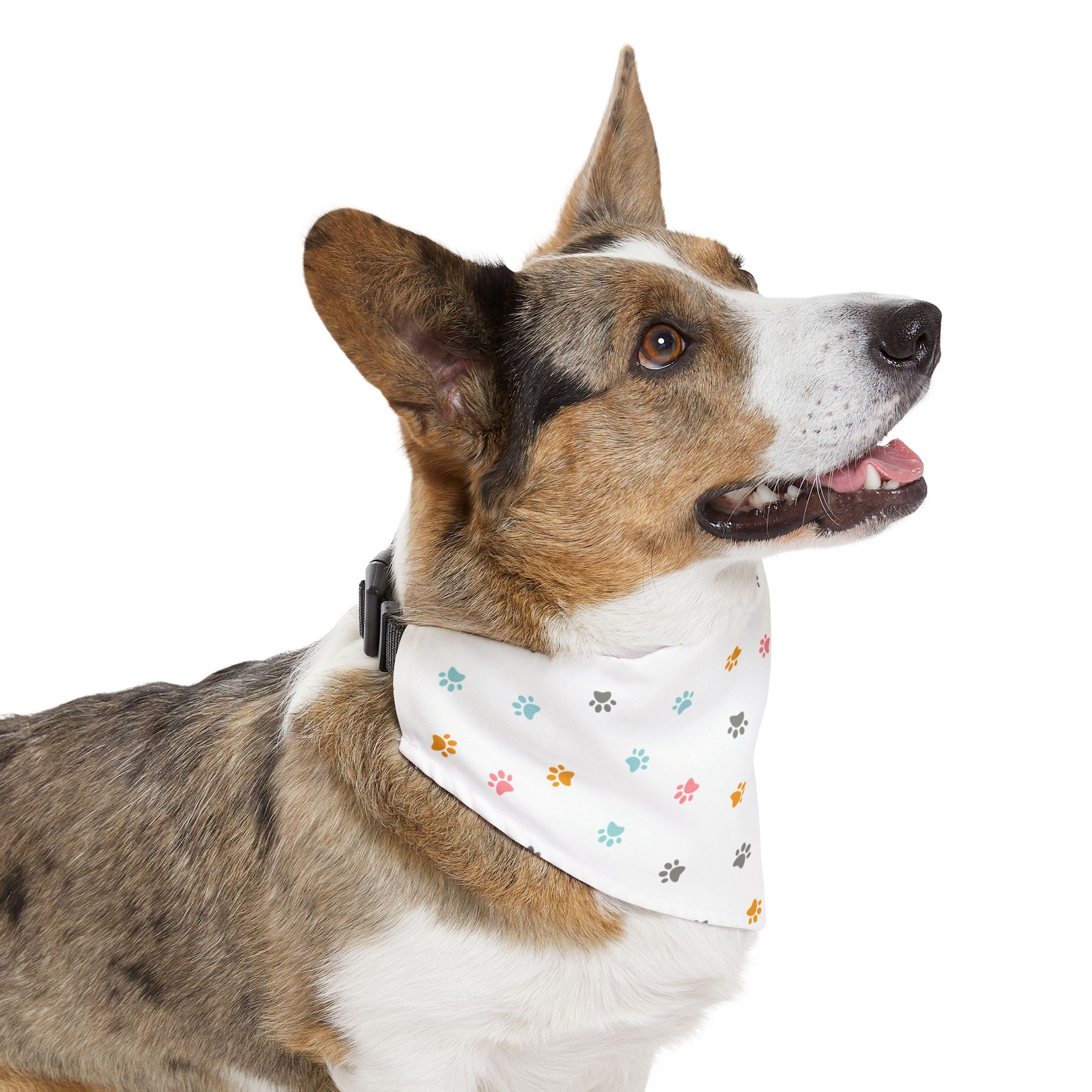 Pet Bandana Collar