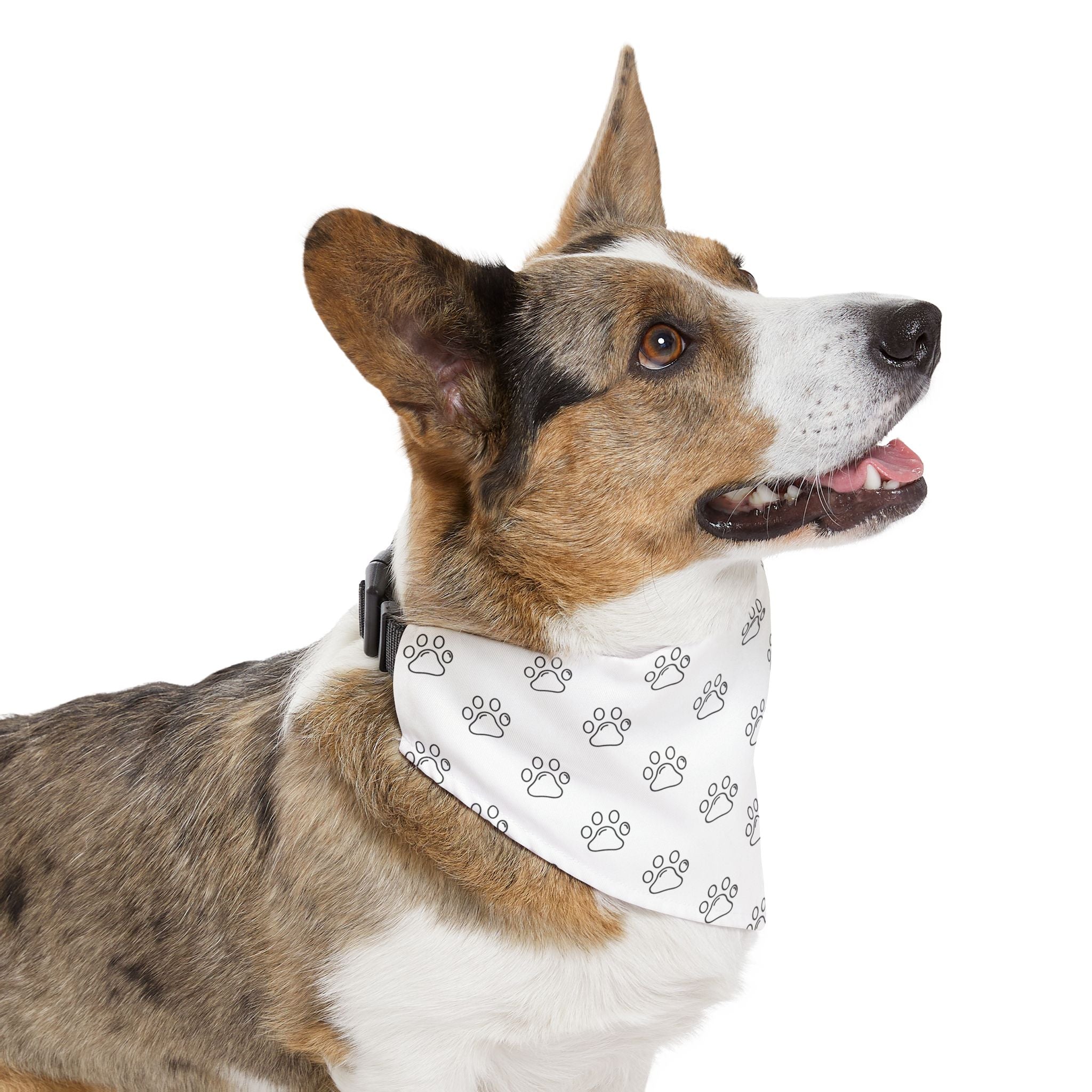 Pet Bandana Collar