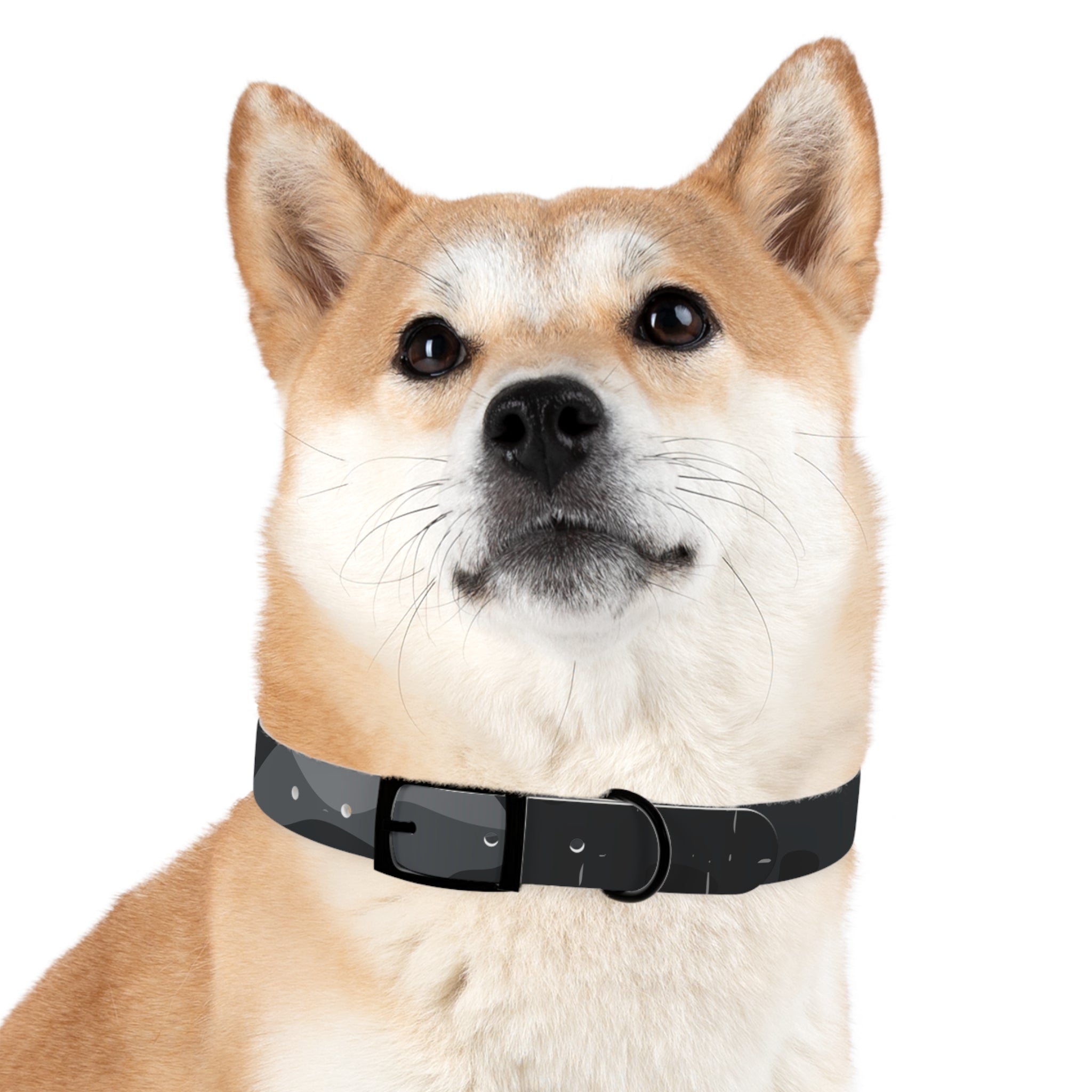 Dog Collar