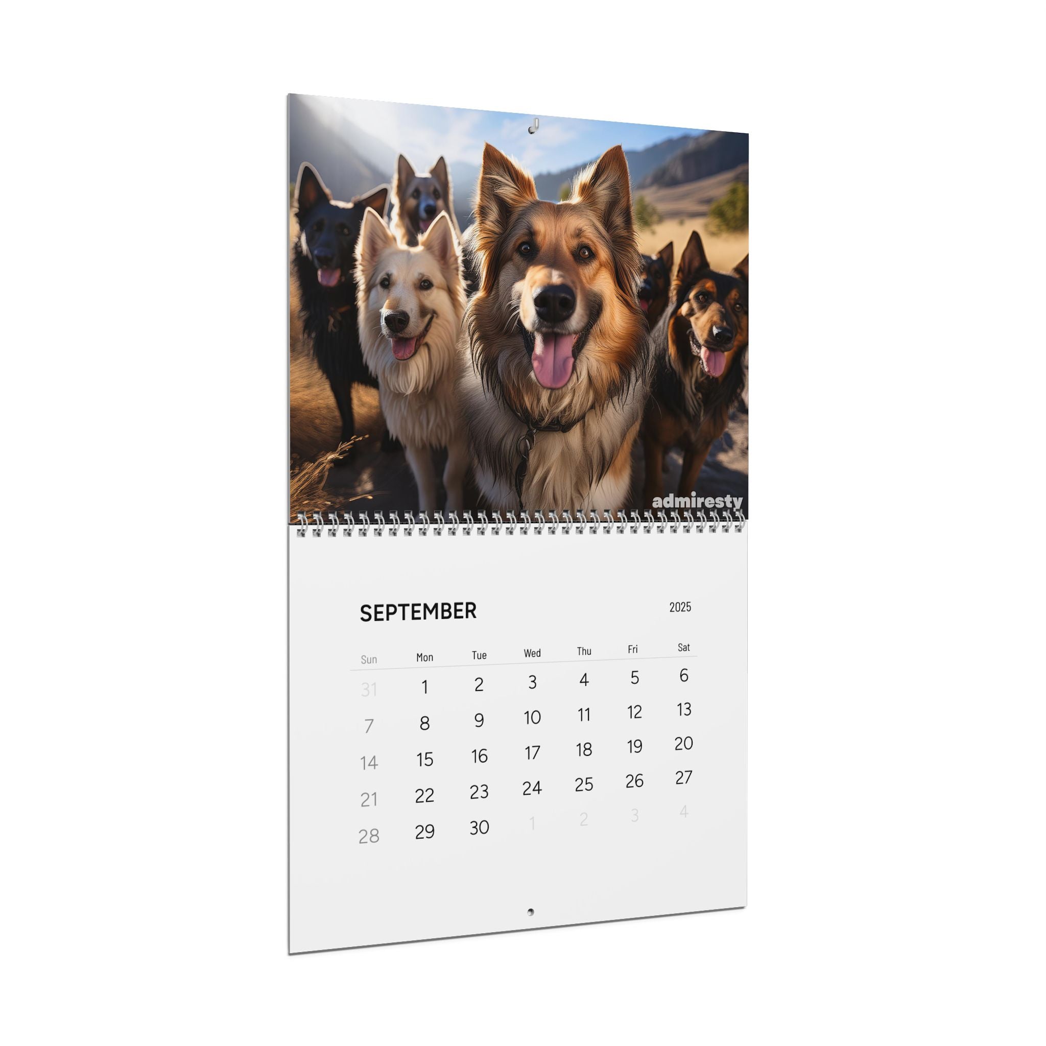 Wall Calendars (2025)