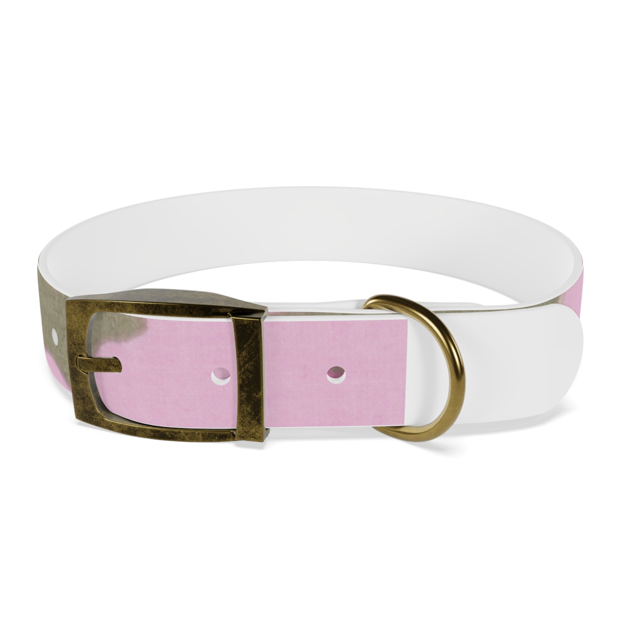 Dog Collar