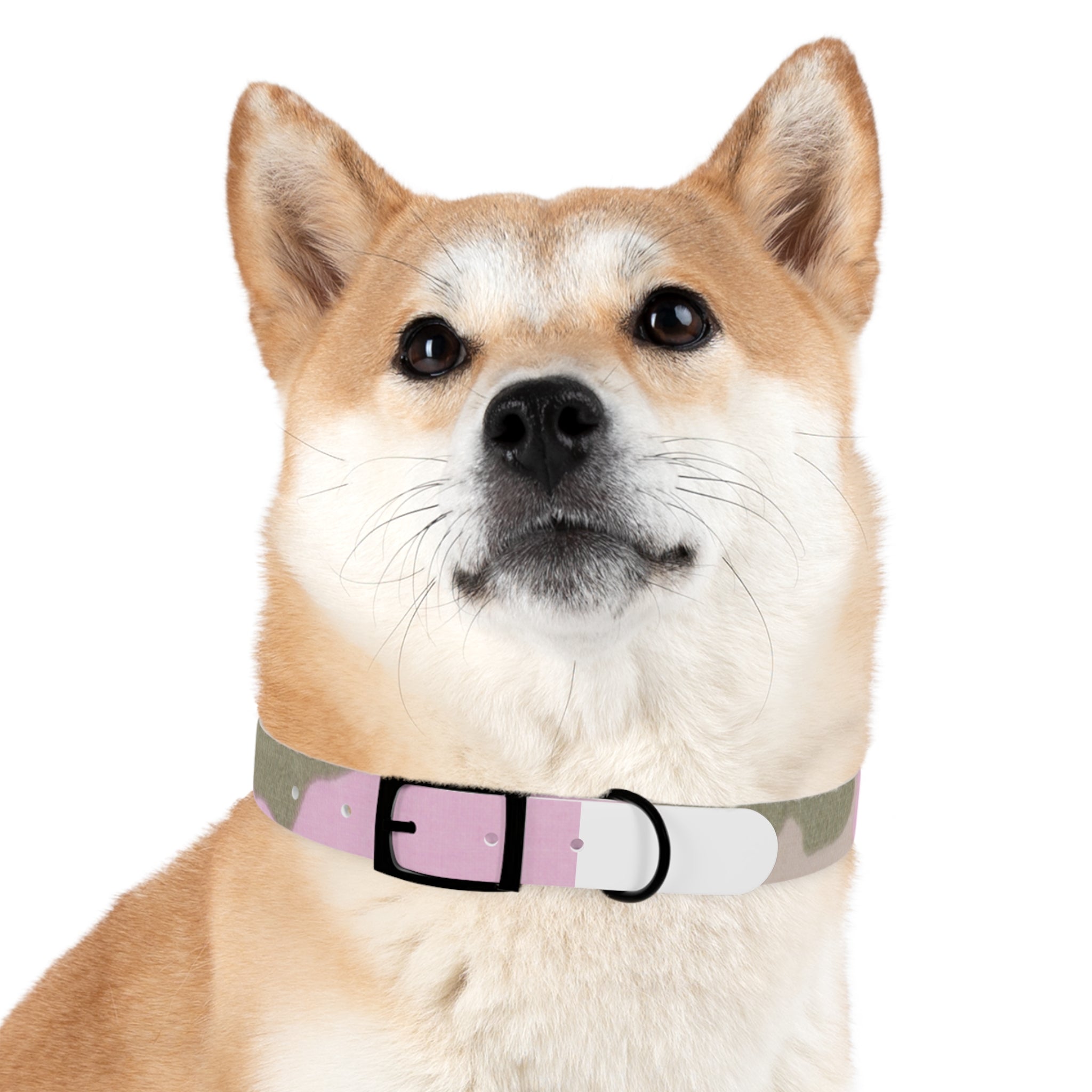 Dog Collar