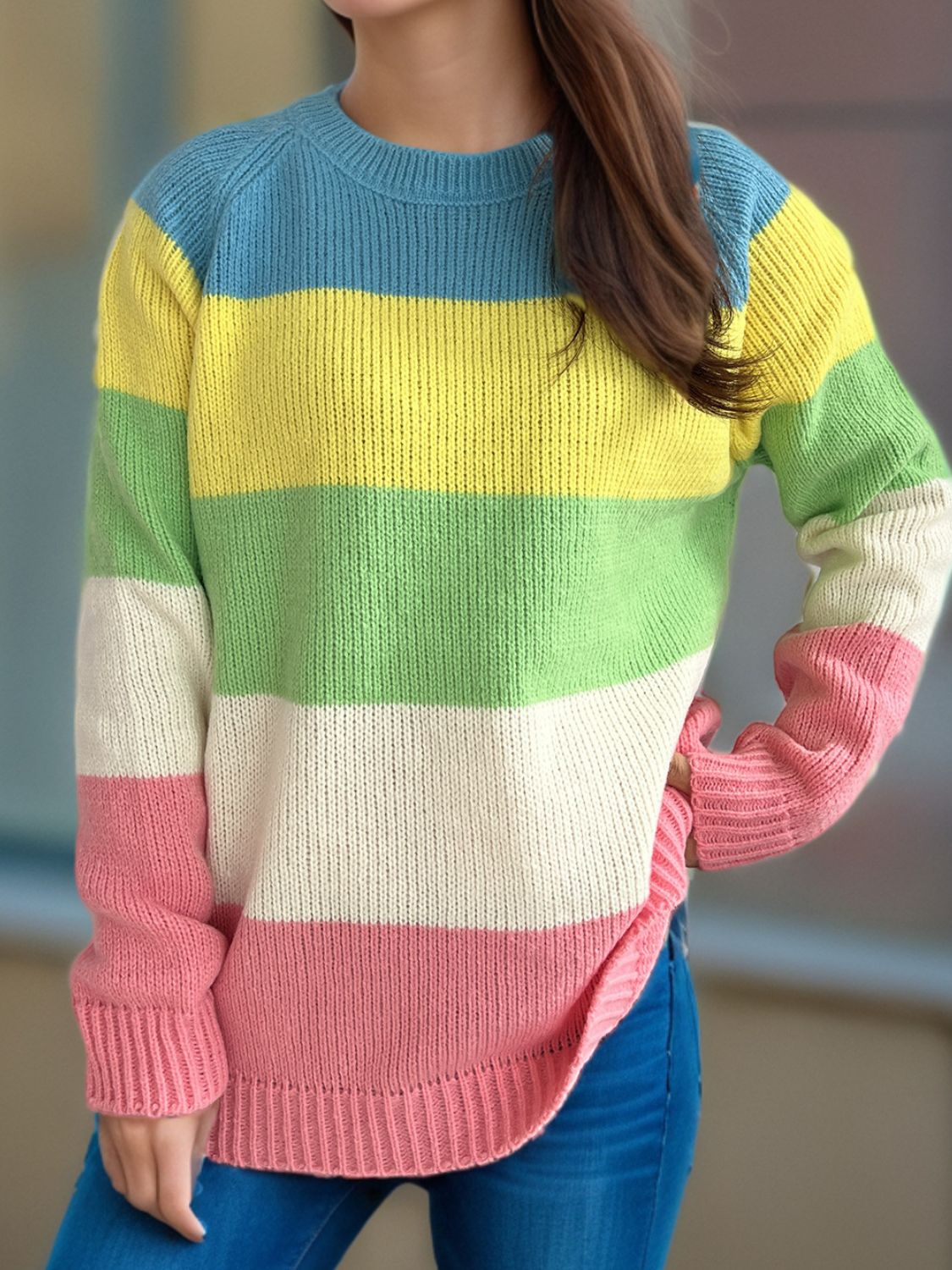 Color Block Round Neck Long Sleeve Sweater